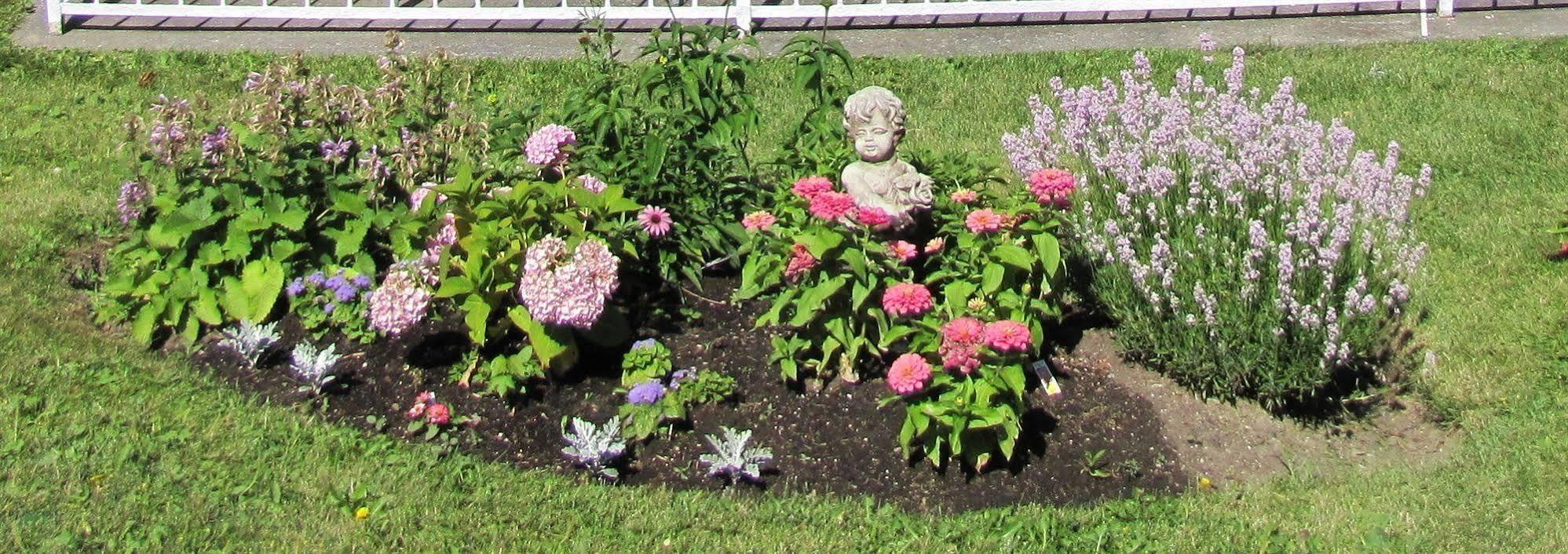 Green Acres Inn Kingston Esterno foto